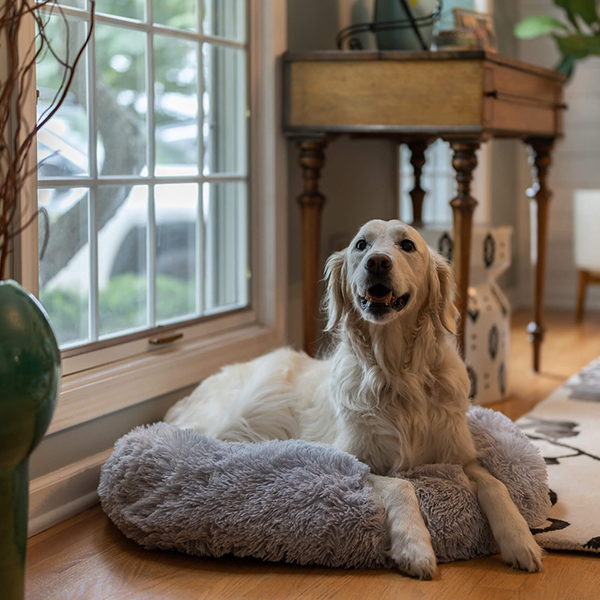 Anxiety Calming Pet Bed