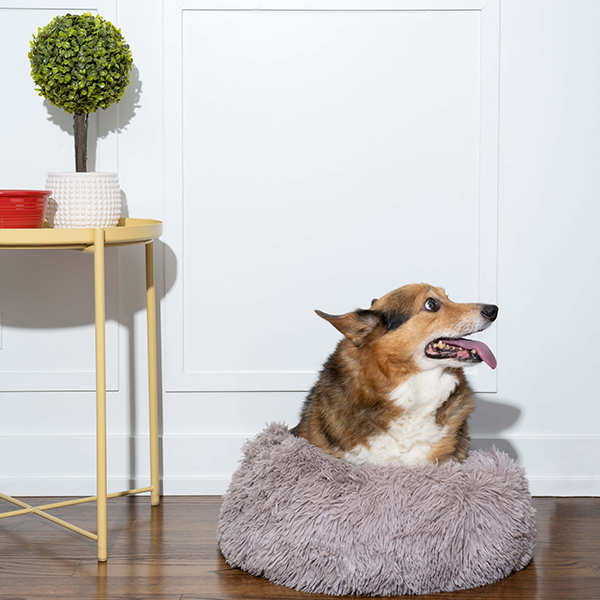 Anxiety Calming Pet Bed