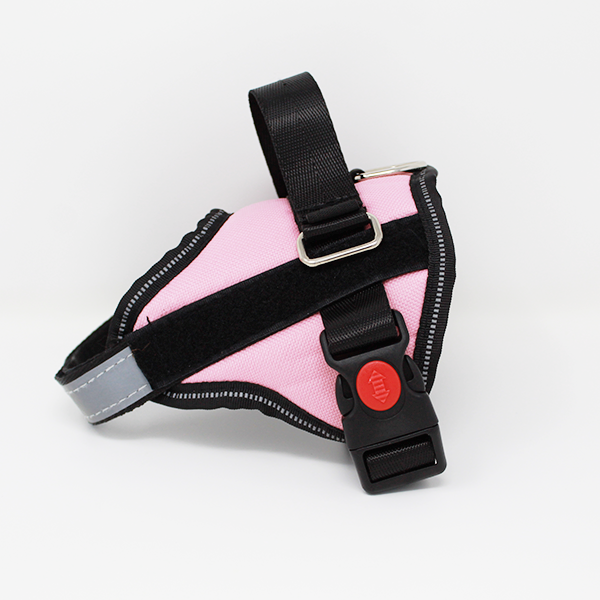 No-Pull Dog Harness (Used In New Condition)