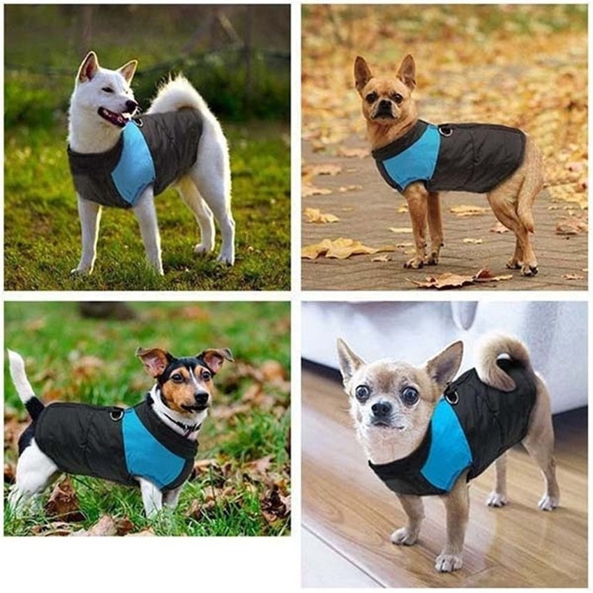 Warm Winter Dog Jackets
