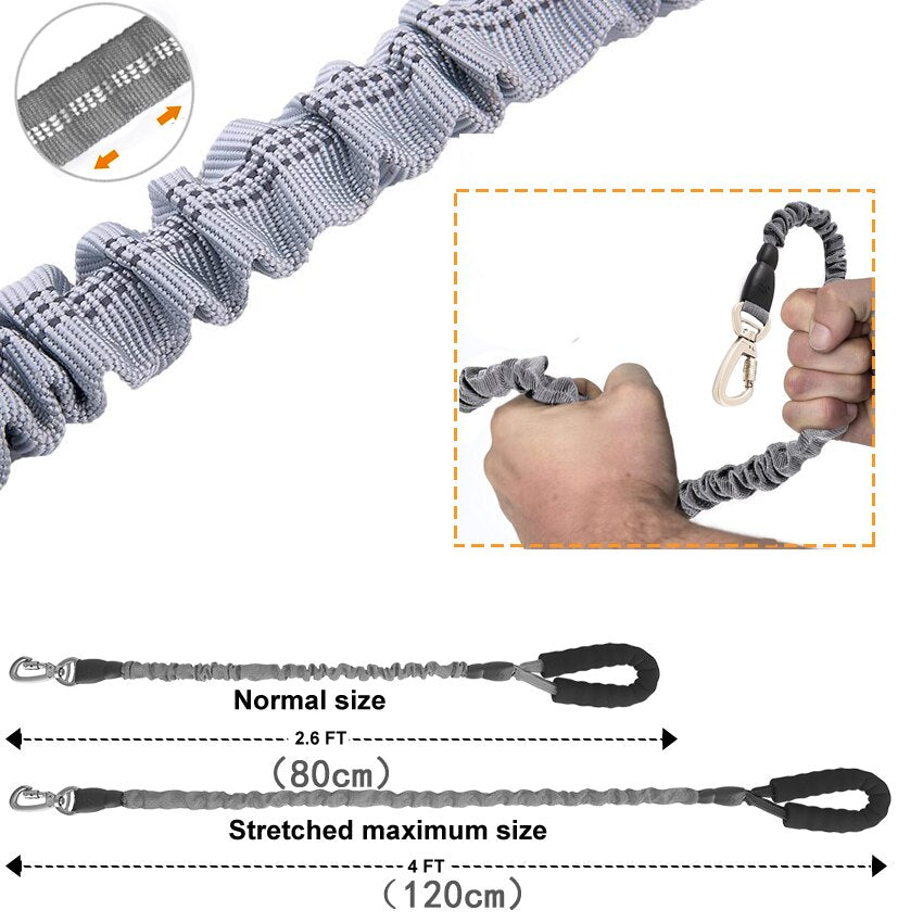 Elastic Safety Dog Leash