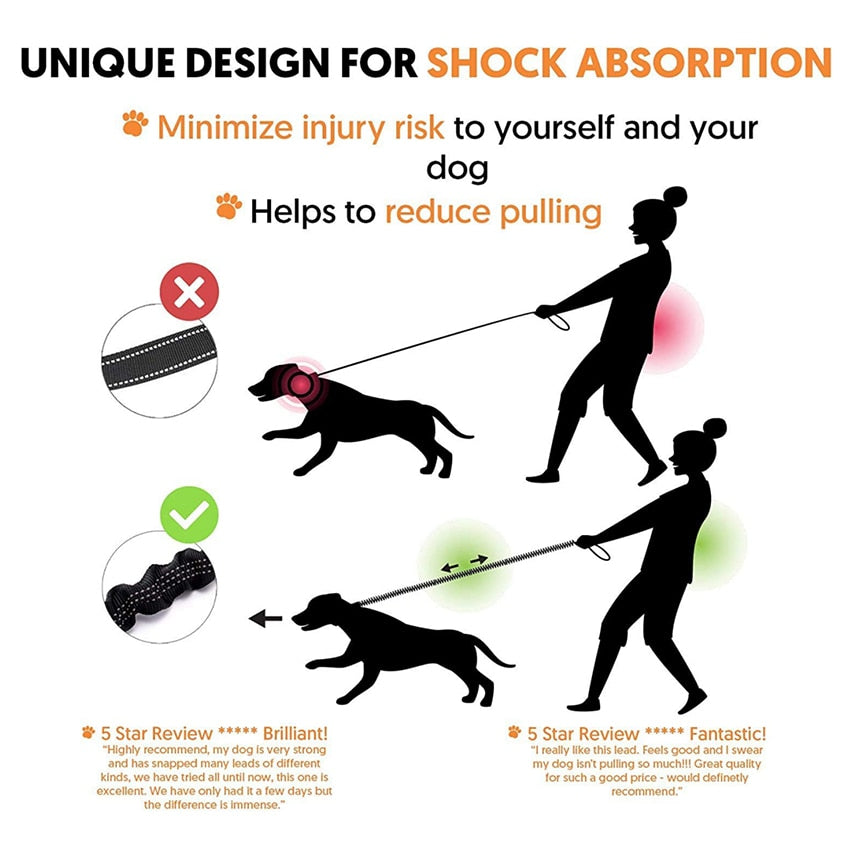 Elastic Safety Dog Leash