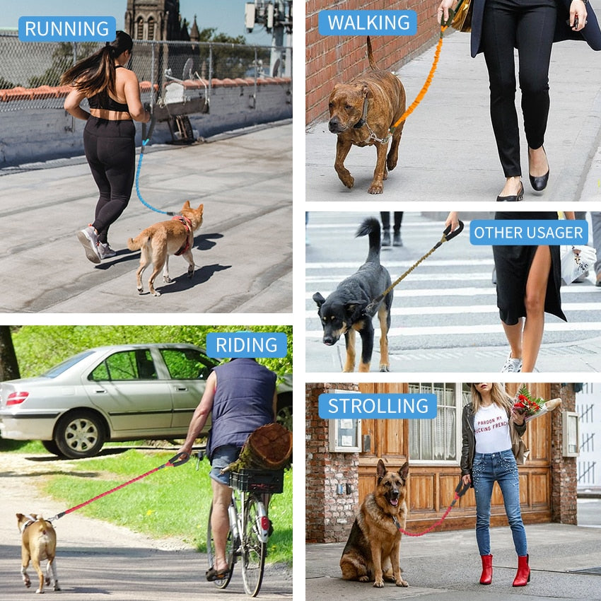Elastic Safety Dog Leash