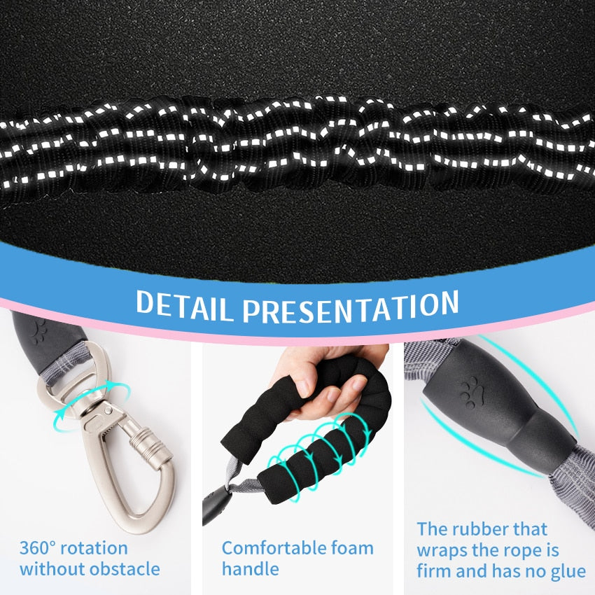 Elastic Safety Dog Leash