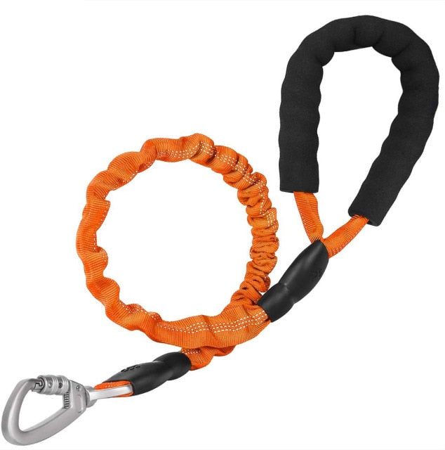 Elastic Safety Dog Leash