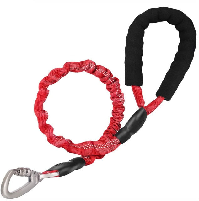 Elastic Safety Dog Leash