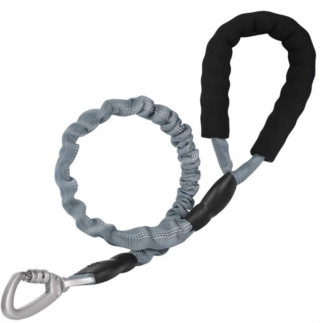 Elastic Safety Dog Leash