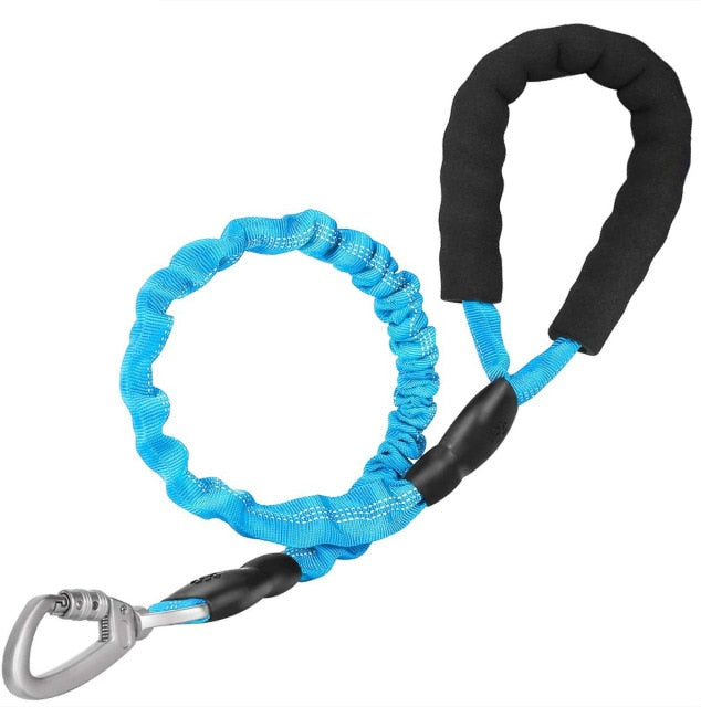 Elastic Safety Dog Leash