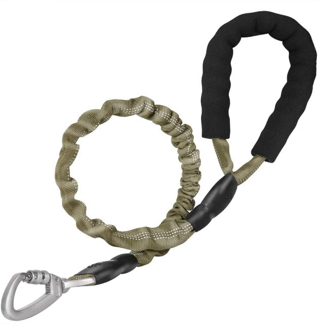 Elastic Safety Dog Leash